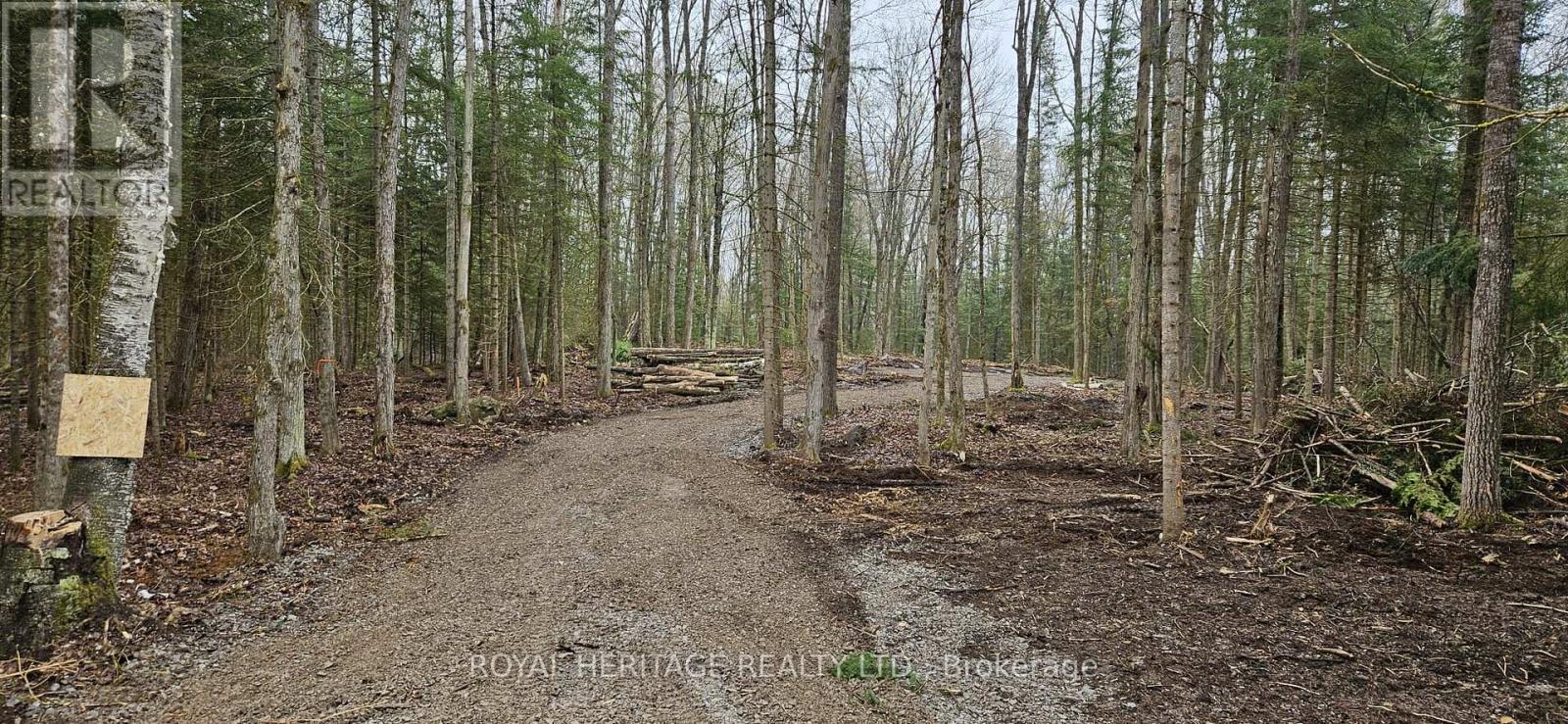 0B Reid Street, Trent Lakes, ON