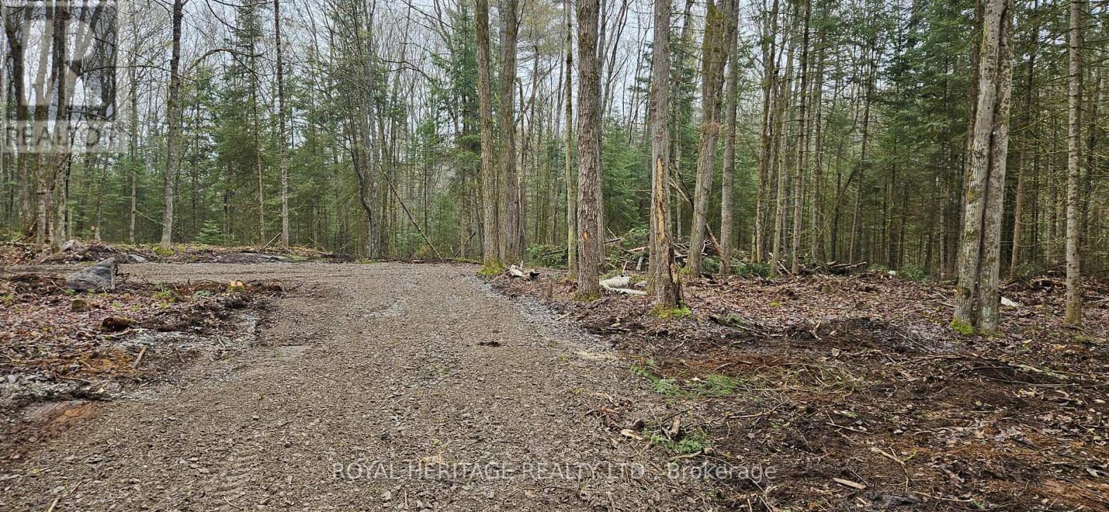 0B Reid Street, Trent Lakes, ON