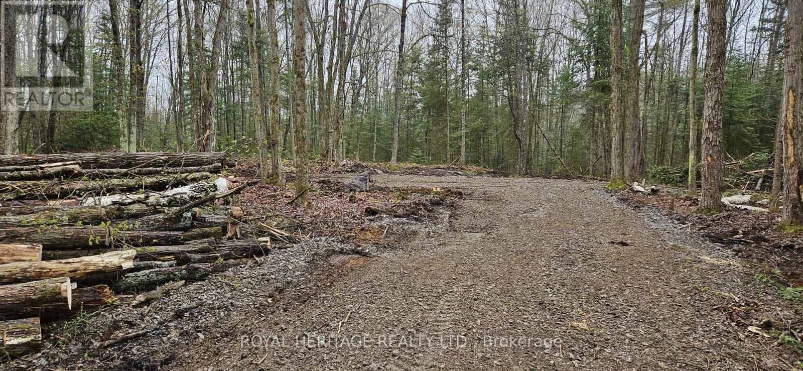 0B Reid Street, Trent Lakes, ON