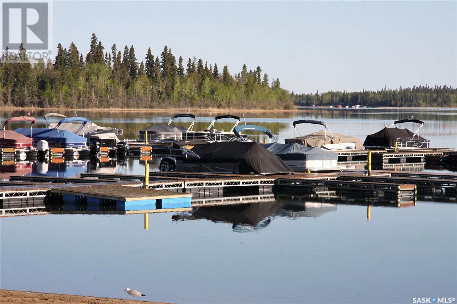 216 Southshore Drive, Lakeland Rm No. 521, SK