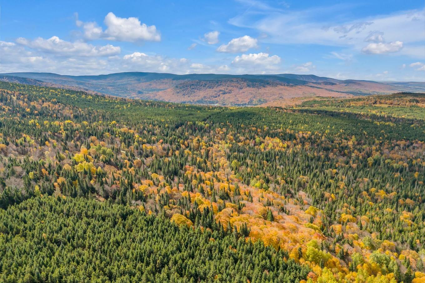 Land/Lot - Route Du 6E Rang, Saint-Philémon, QC