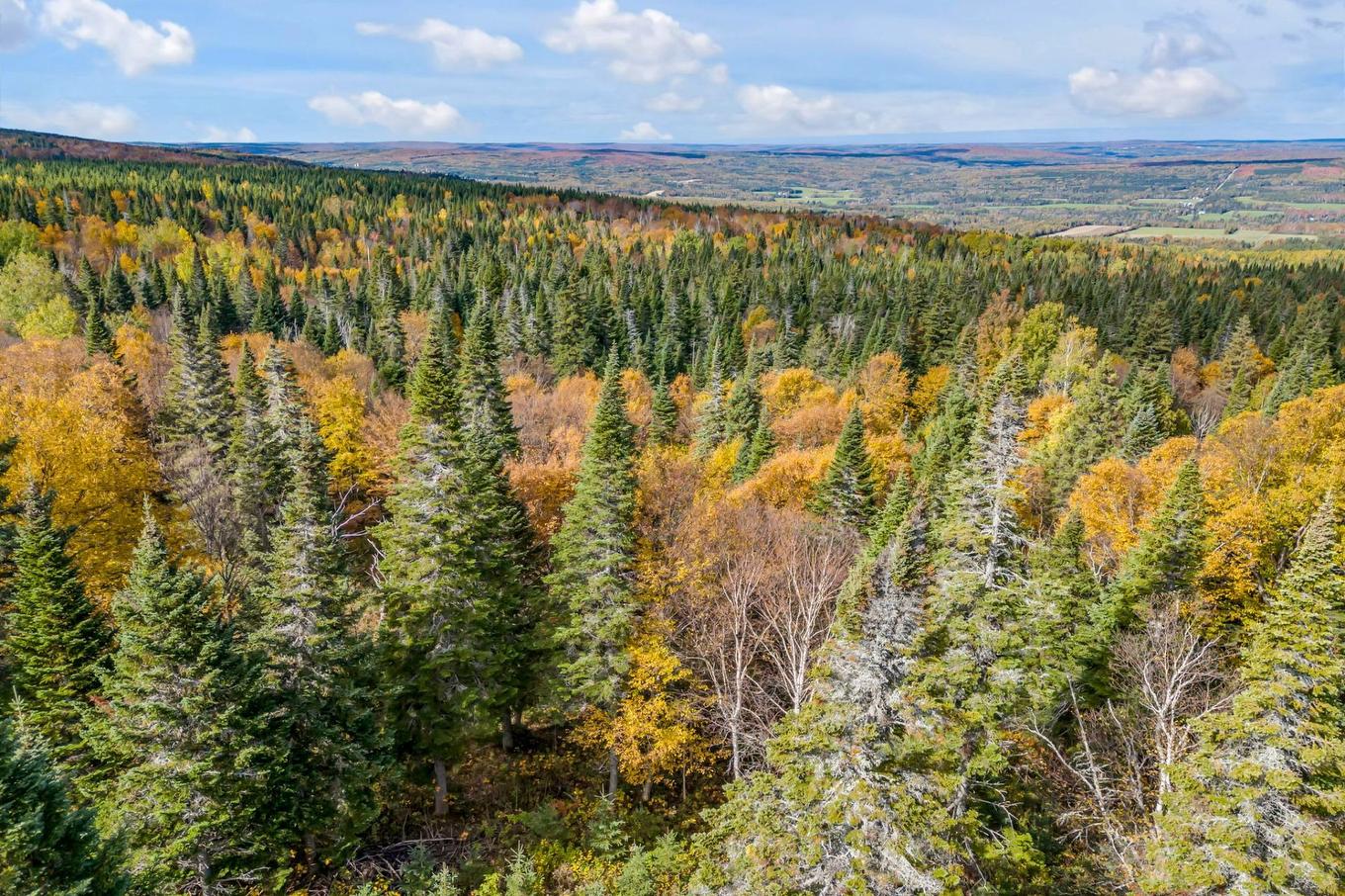 Land/Lot - Route Du 6E Rang, Saint-Philémon, QC