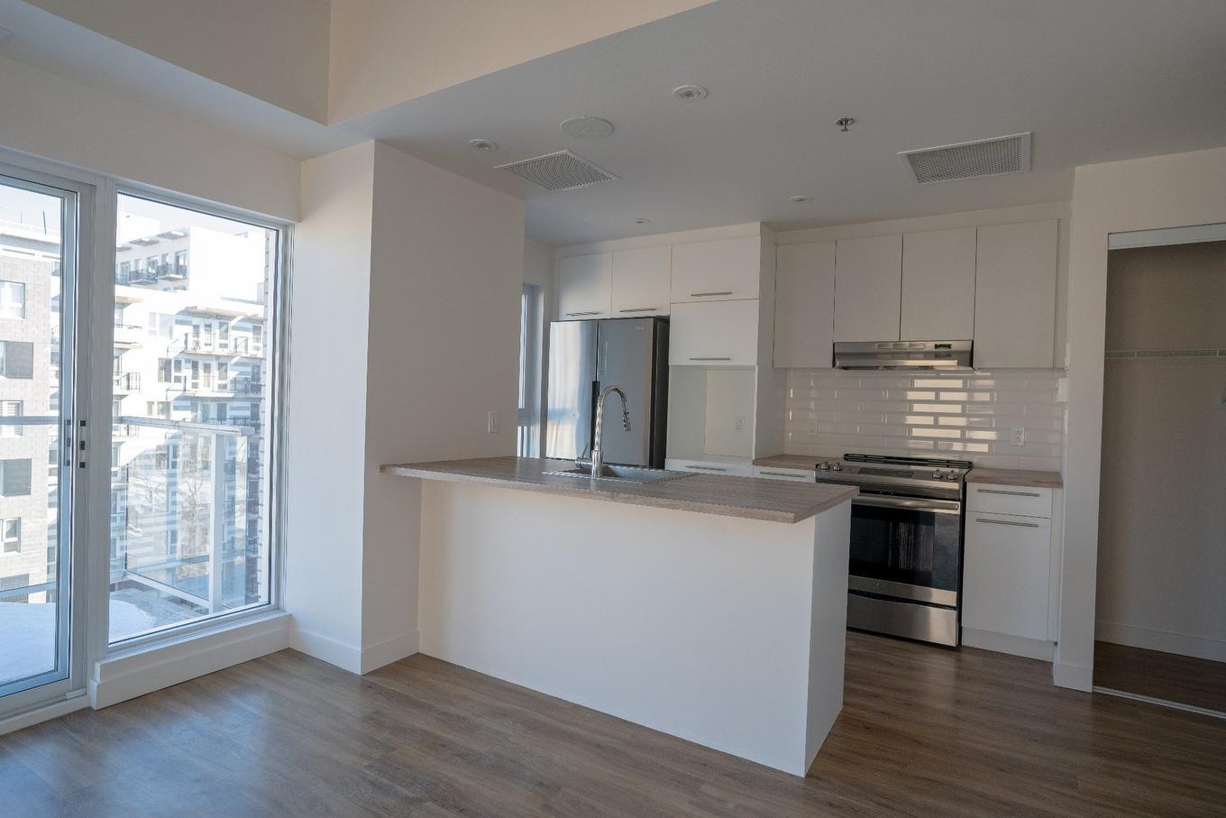 Other - 624-2542 Place Pierre-Falardeau, Montréal (Rosemont/La Petite-Patrie), QC - Indoor Photo Showing Kitchen With Upgraded Kitchen