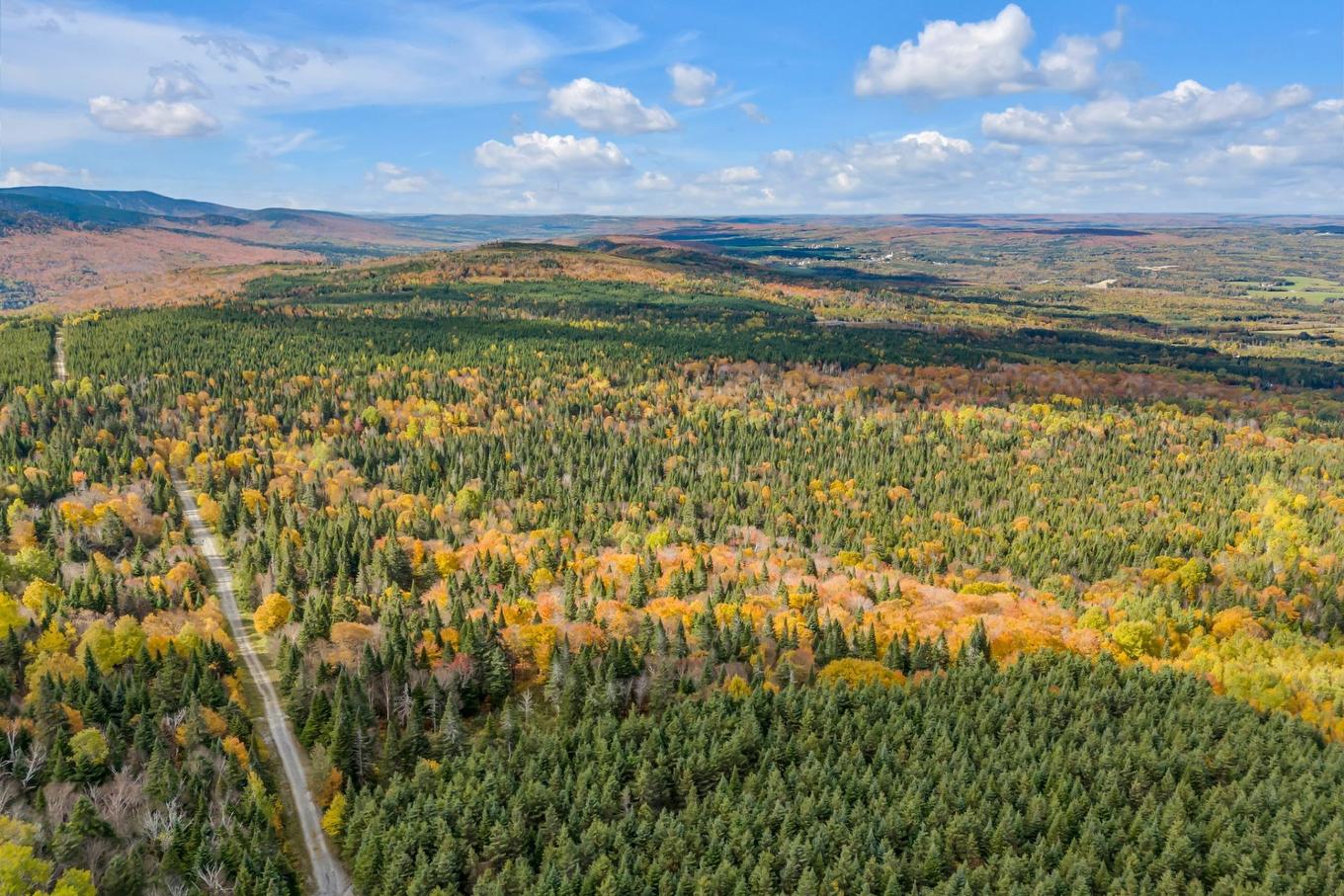 Terre/Terrain - Route Du 6E Rang, Saint-Philémon, QC