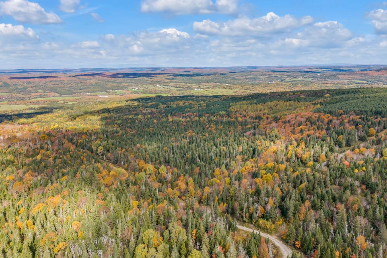Terre/Terrain - Route Du 6E Rang, Saint-Philémon, QC