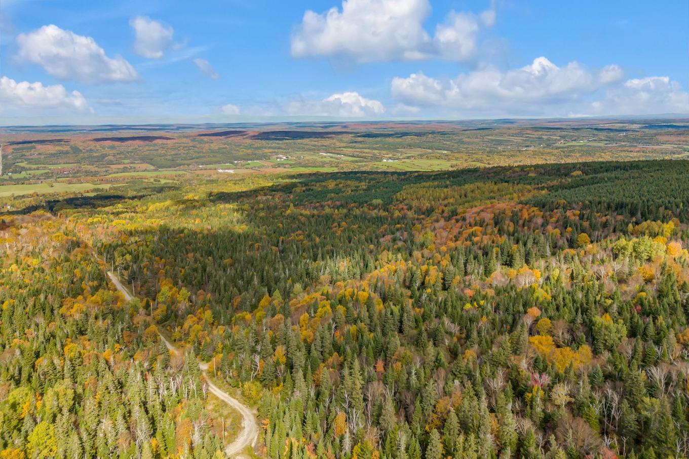 Terre/Terrain - Route Du 6E Rang, Saint-Philémon, QC