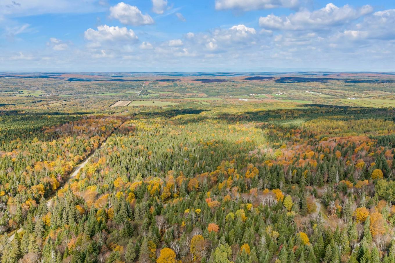 Terre/Terrain - Route Du 6E Rang, Saint-Philémon, QC