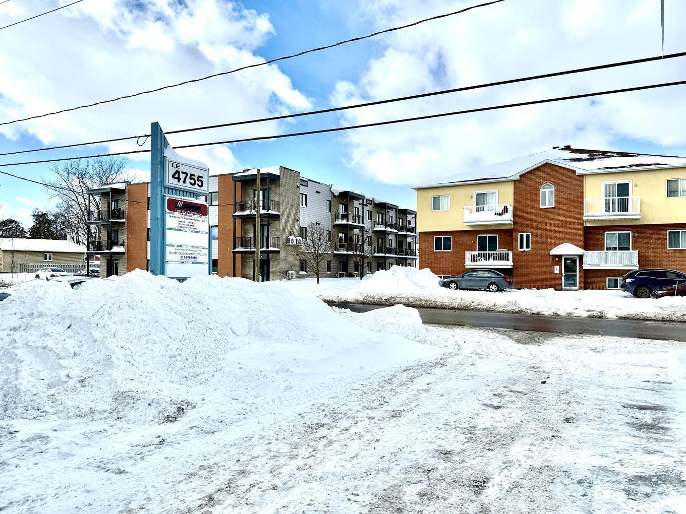 Backyard - 4755 Mtée St-Hubert, Longueuil (Saint-Hubert), QC - Outdoor