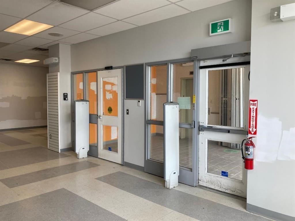 35 Campbell Avenue, St. John'S, NL