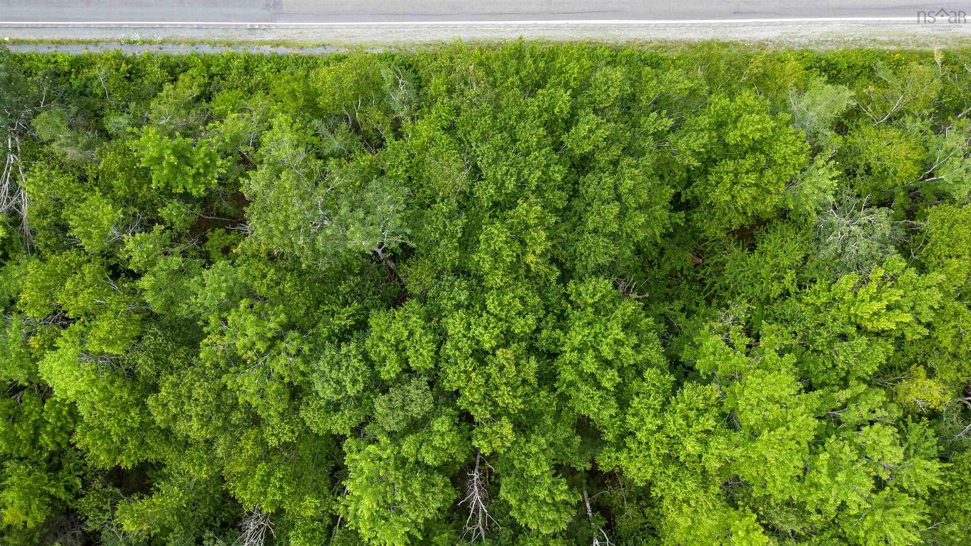 Sheet Harbour Road, Mill Lake, NS