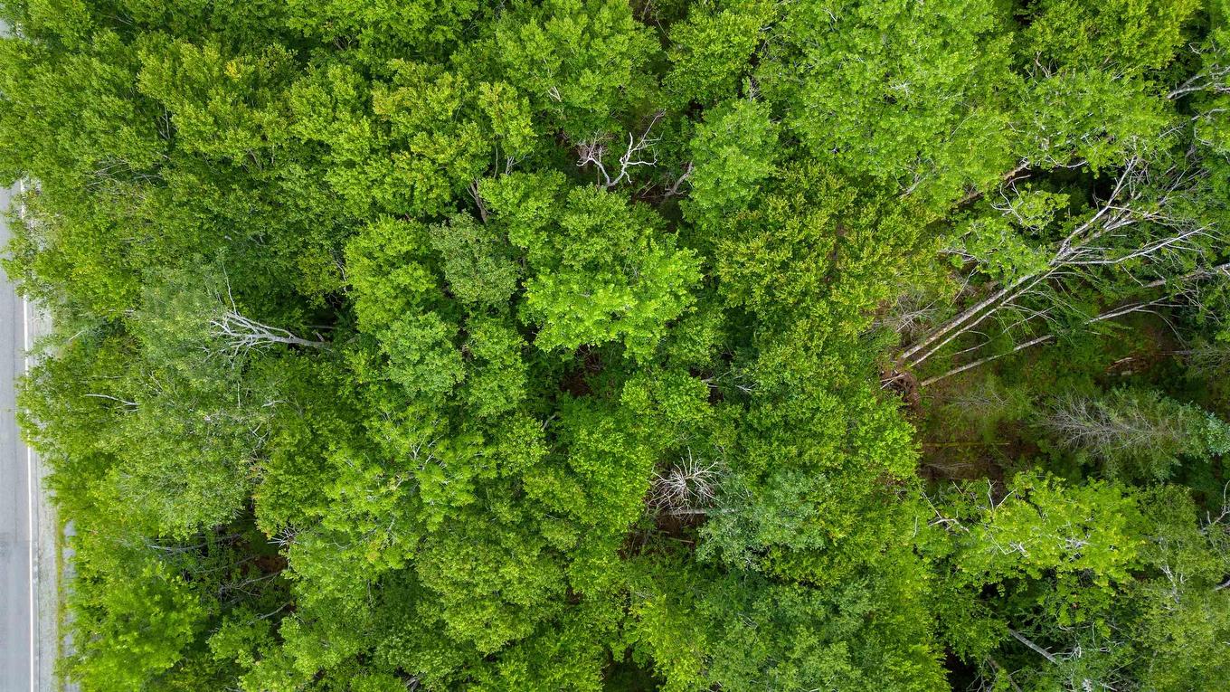 Sheet Harbour Road, Mill Lake, NS