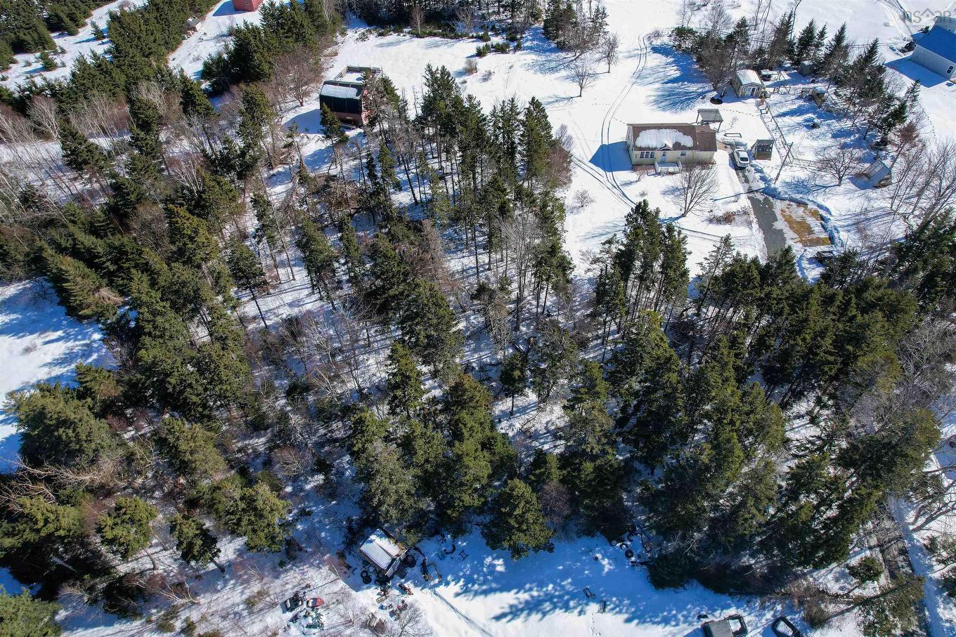 Polar Bear Lane, South Bar, NS