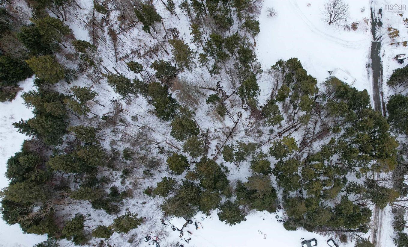Polar Bear Lane, South Bar, NS