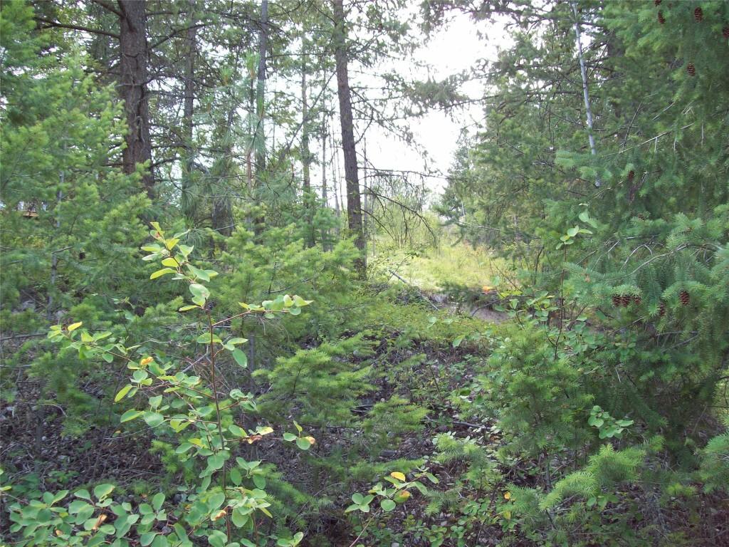 358 Mountain Drive, Vernon, BC - Outdoor