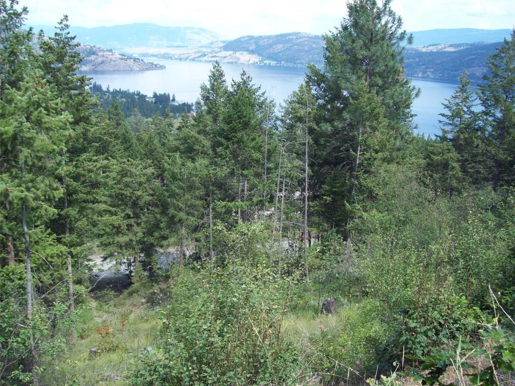 358 Mountain Drive, Vernon, BC - Outdoor With View