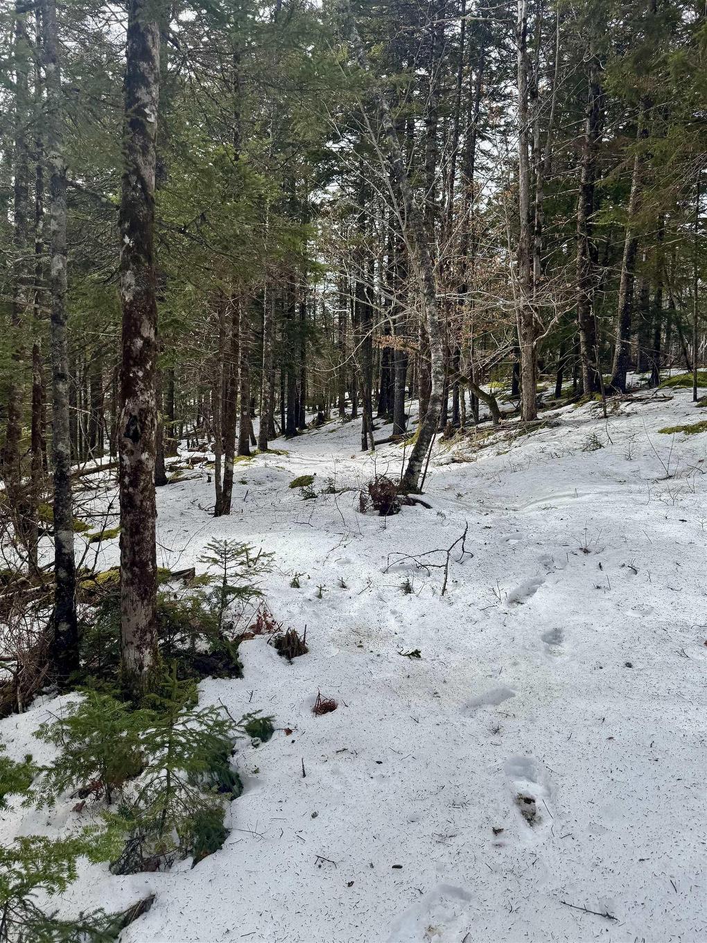 Lot 11 Island View Drive, Middlewood, NS