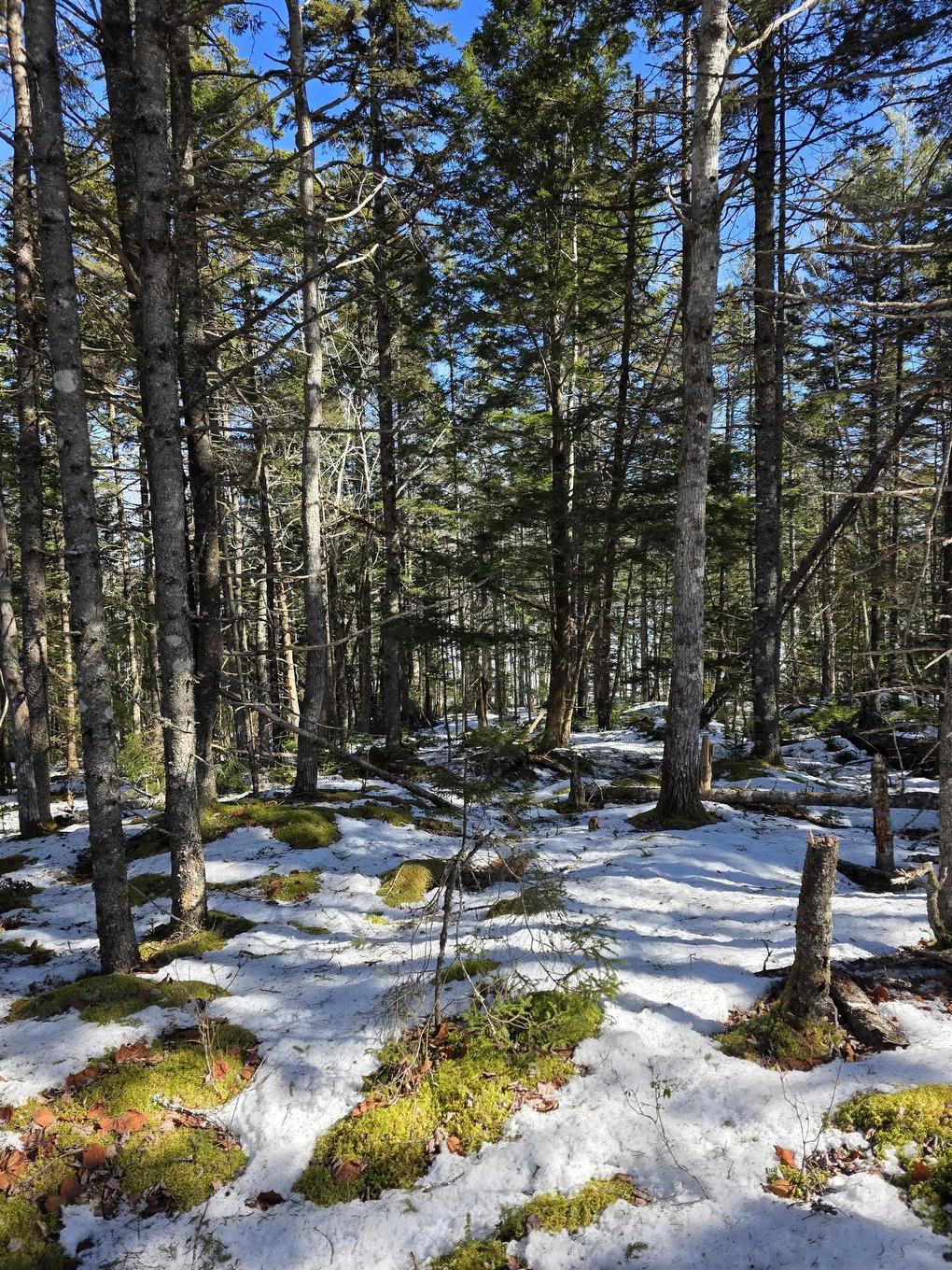 Lot 14 Island View Drive, Middlewood, NS