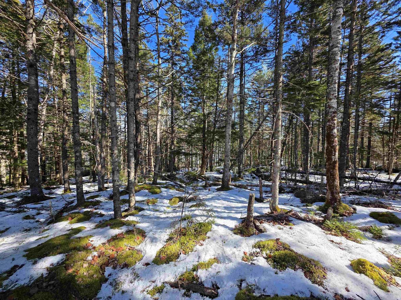 Lot 14 Island View Drive, Middlewood, NS