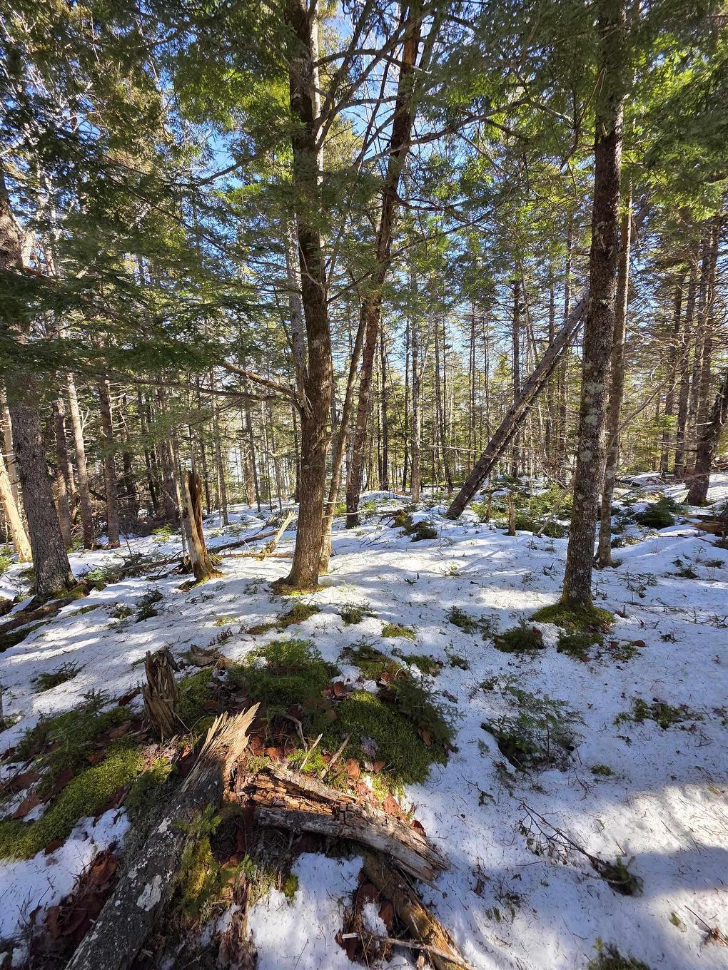 Lot 14 Island View Drive, Middlewood, NS
