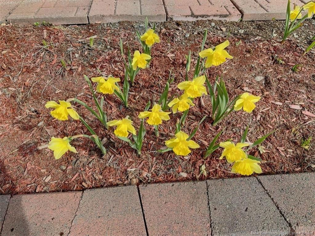 404 De L'Église Rd, Lac Baker, NB