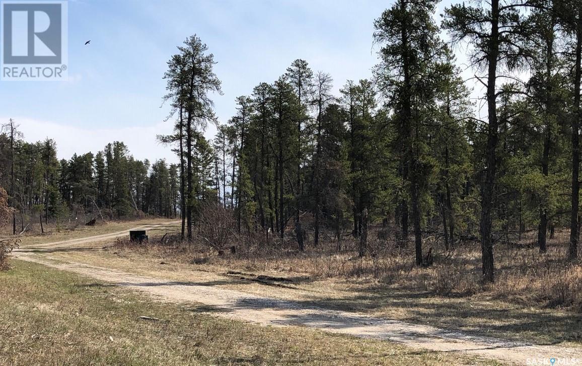 Reclot 4 Blk 2, Hudson Bay Rm No. 394, SK