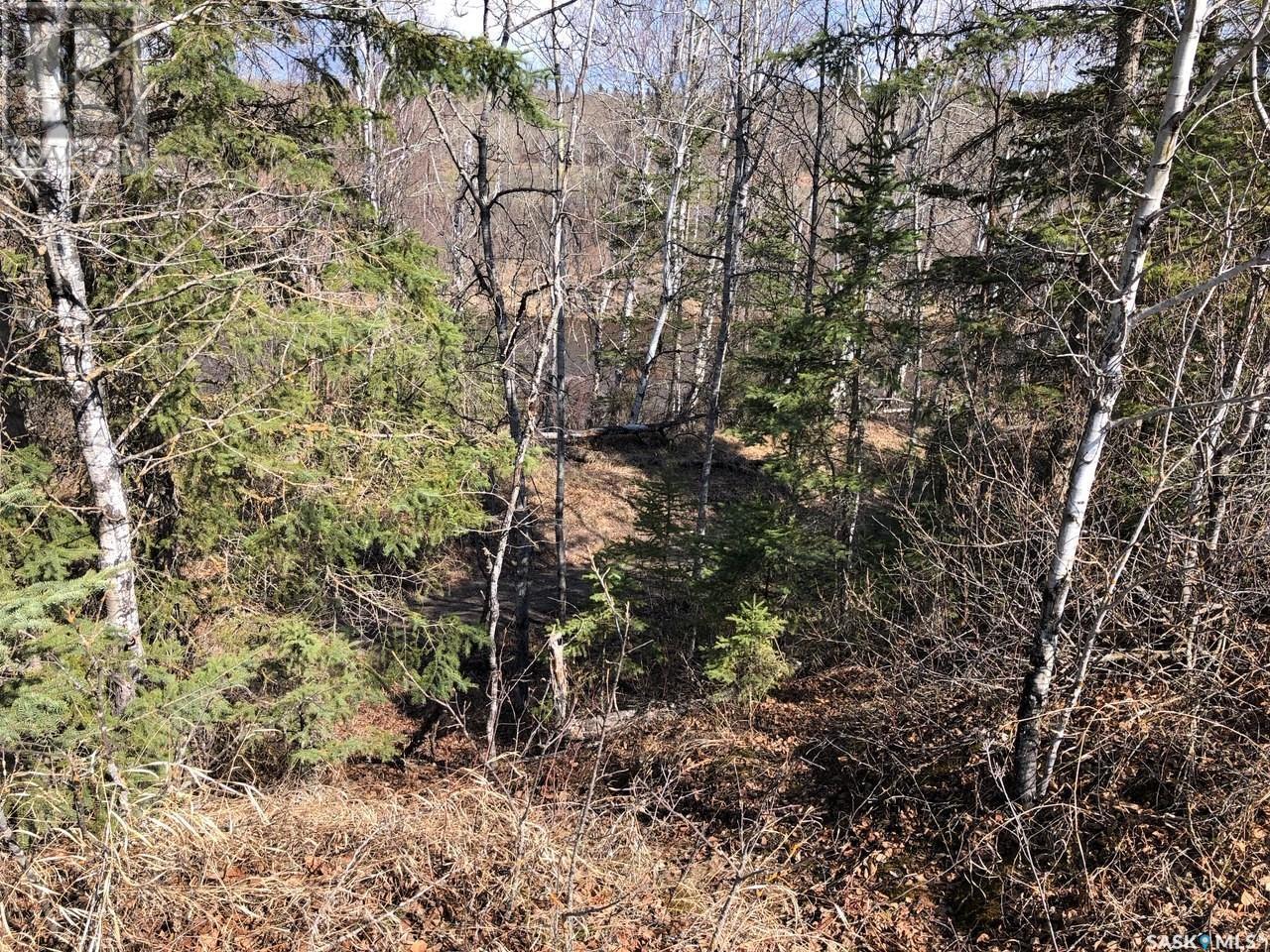 Reclot 4 Blk 2, Hudson Bay Rm No. 394, SK