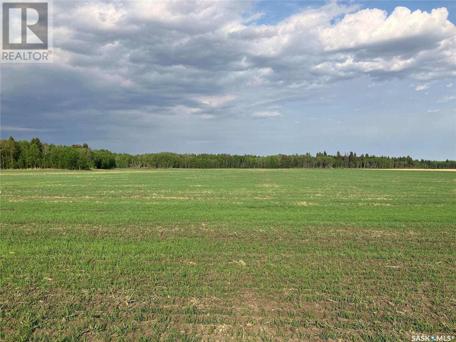 Clark Land, Moose Range Rm No. 486, SK