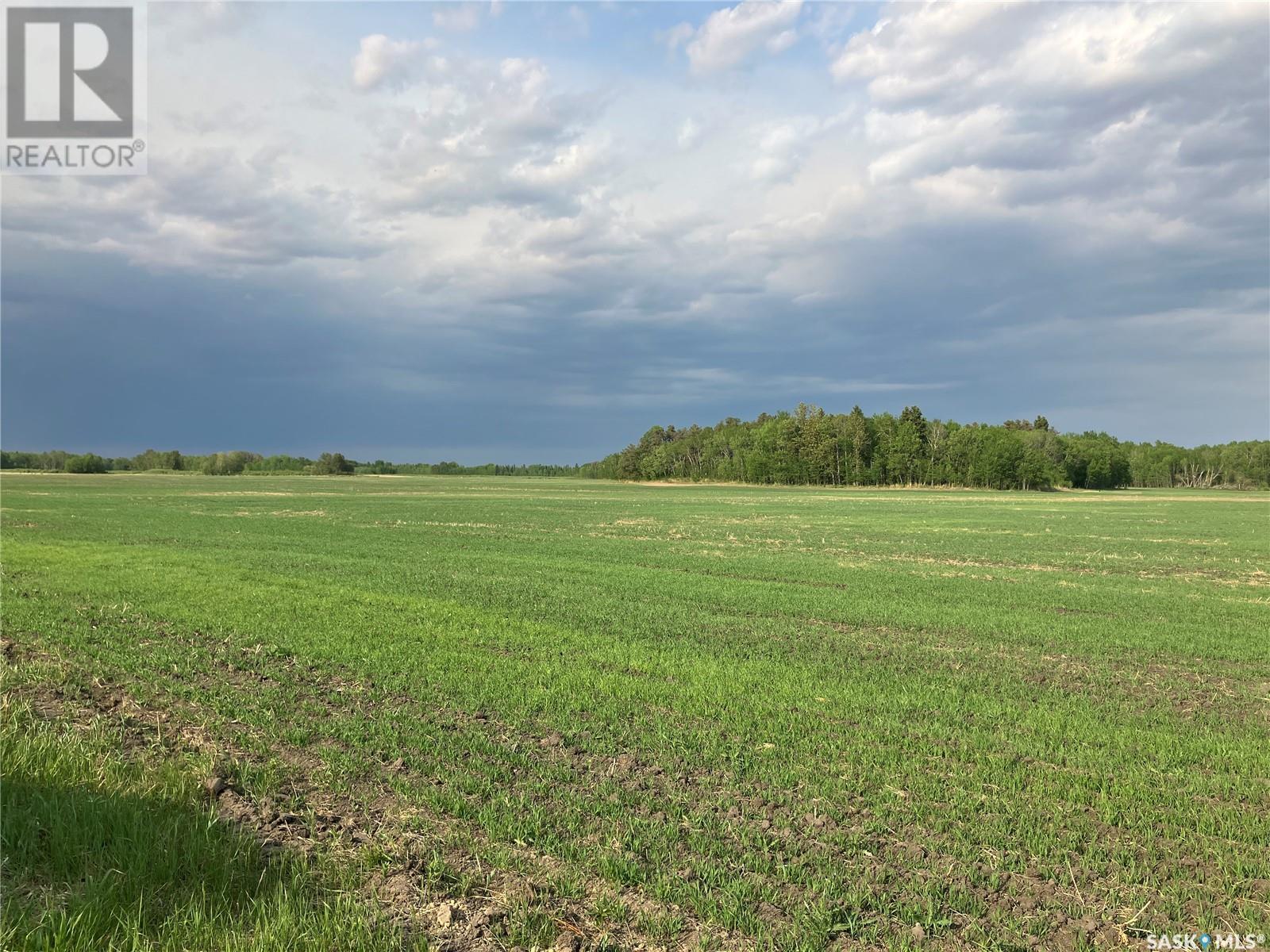 Clark Land, Moose Range Rm No. 486, SK