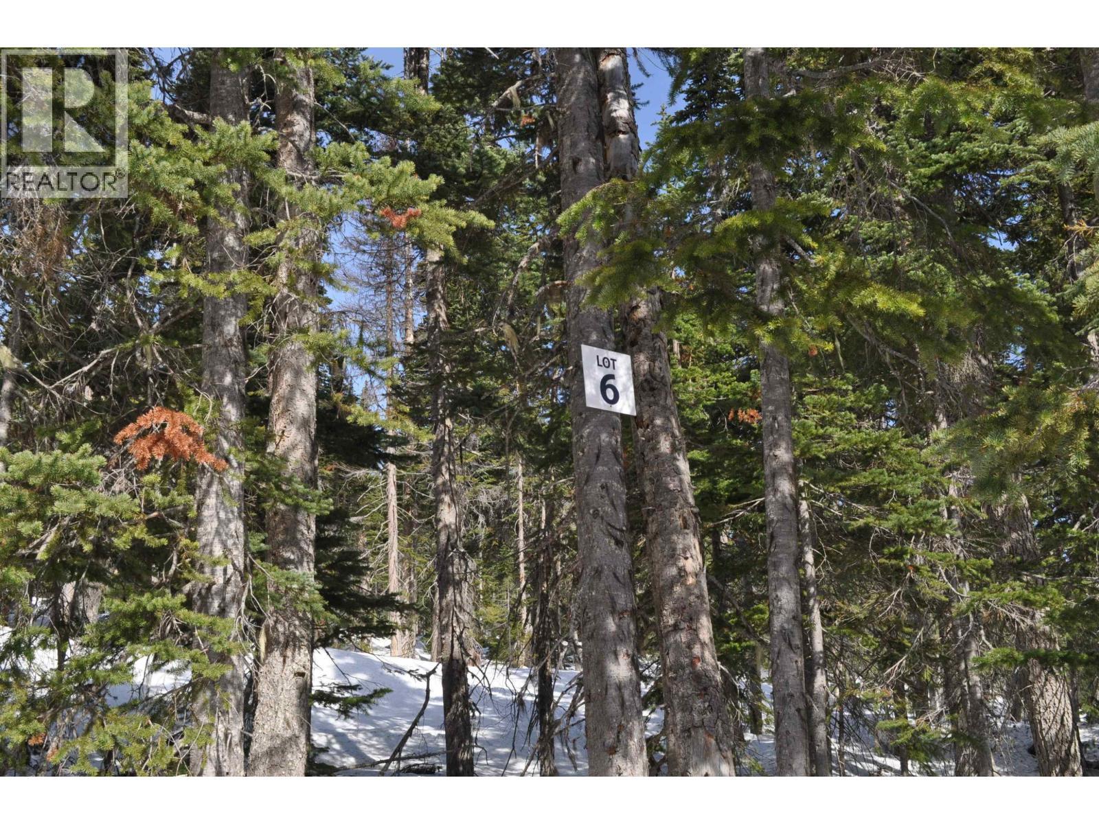 Pr. St Lt 6 Alpine Way, Smithers, BC