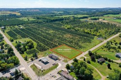 PtLot10 Con 6 EHS N/A Mulmur, ON L0N 1M0