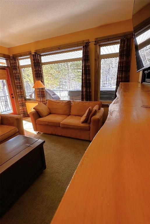 M4-D-1351 Gerry Sorensen Way, Kimberley, BC - Indoor Photo Showing Living Room