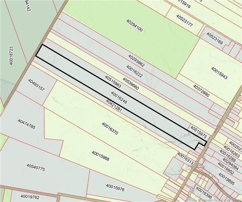 64.9 Acres Route 11, Brantville, NB