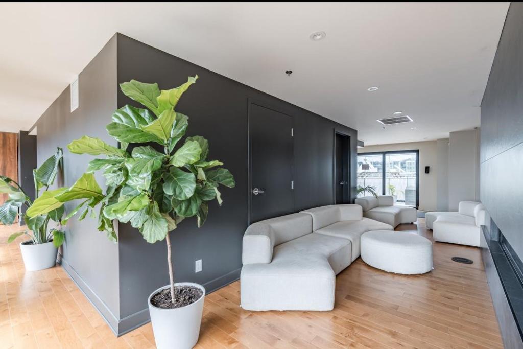 Salle communautaire - 715-170 Rue Rioux, Montréal (Le Sud-Ouest), QC - Indoor