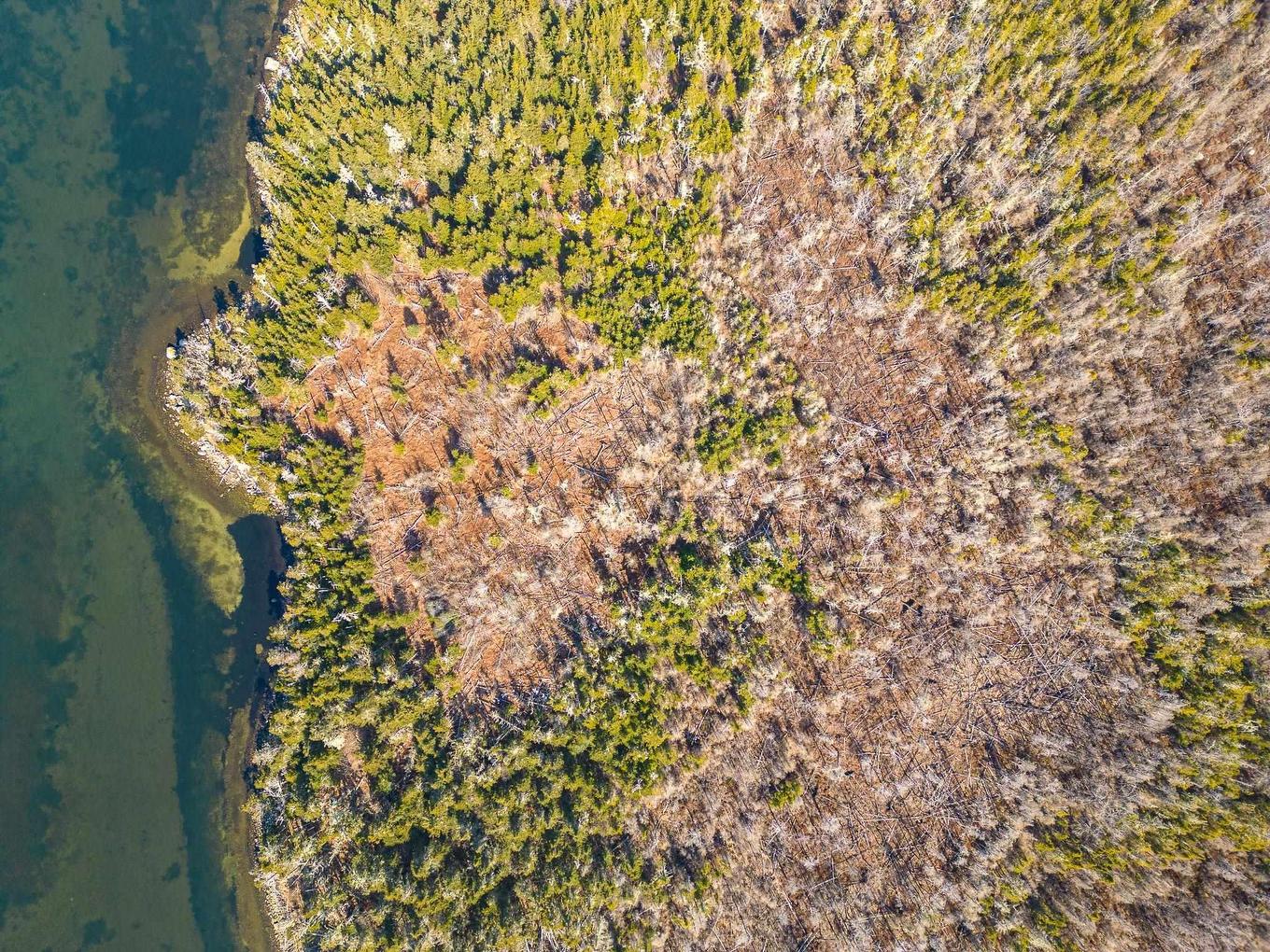 Lot 3 Mathews Lake Road, Little Harbour, NS