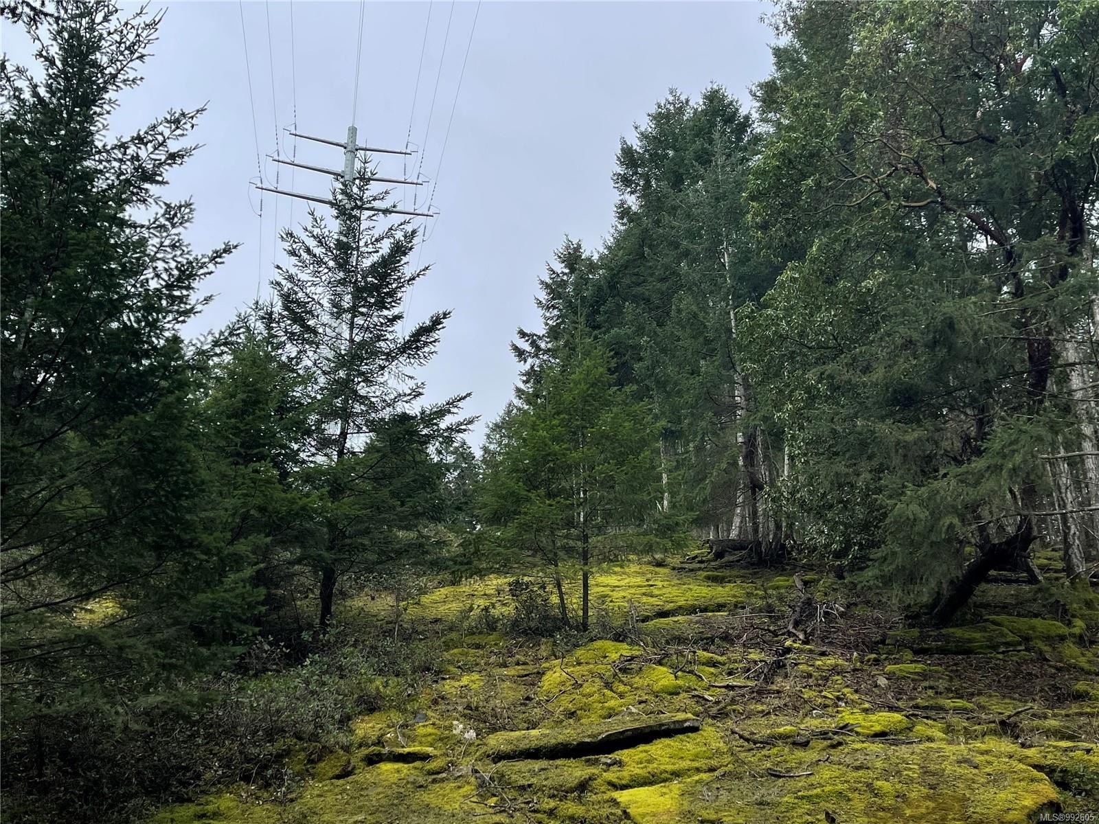 299 Coho Blvd, Mudge Island, BC