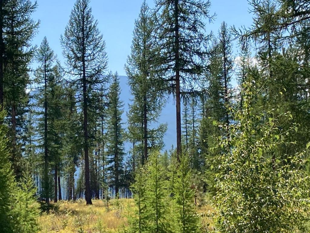 119 Ponderosa Point, Kimberley, BC - Outdoor With View