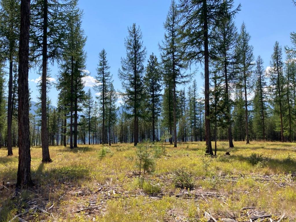 127 Ponderosa Point, Kimberley, BC - Outdoor With View