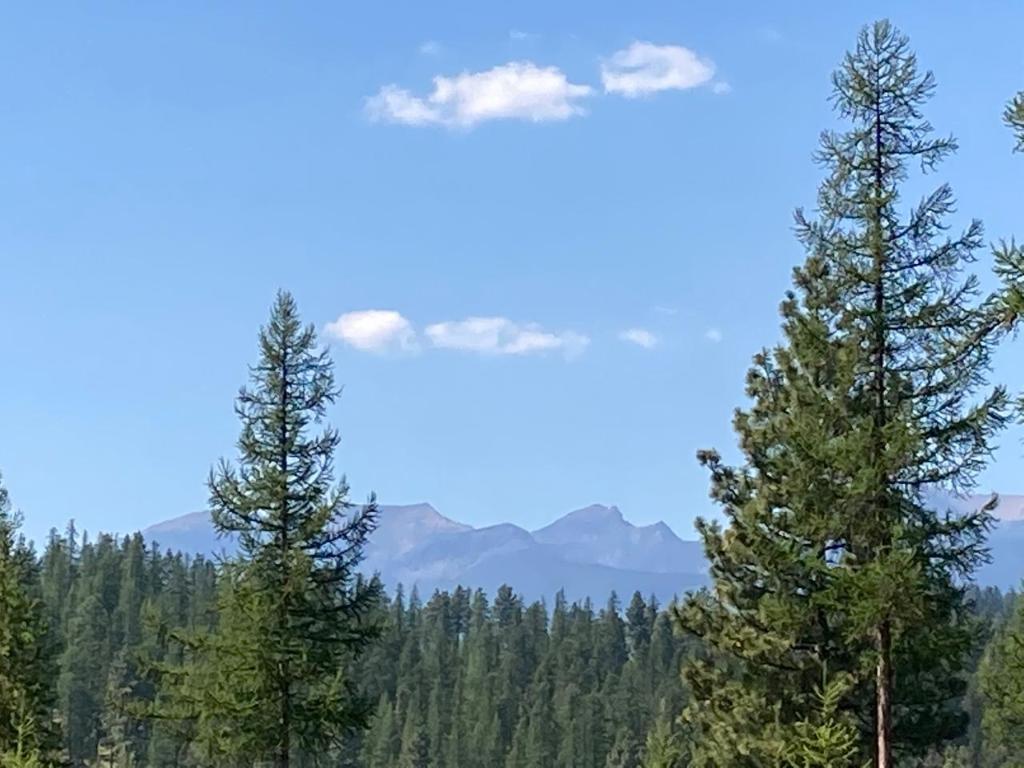 115 Ponderosa Point, Kimberley, BC - Outdoor With View