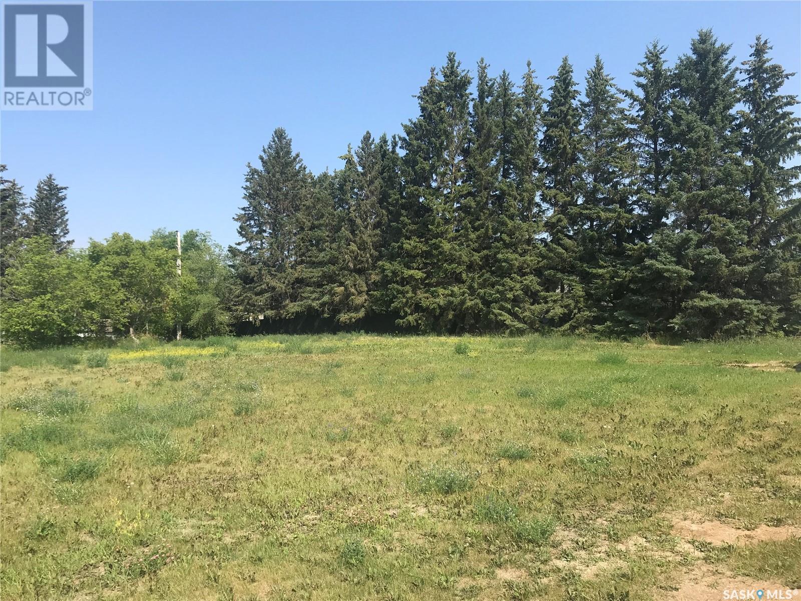 214 Gordon Avenue, Orkney Rm No. 244, SK