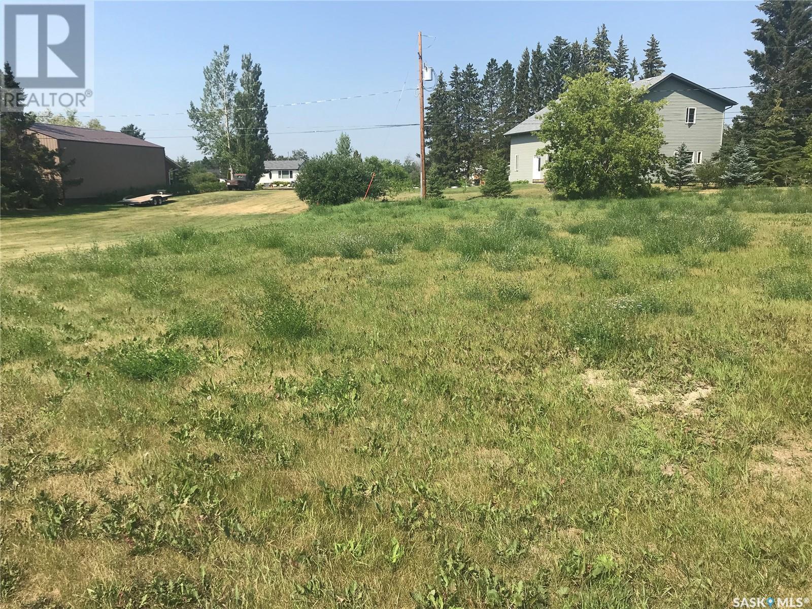 214 Gordon Avenue, Orkney Rm No. 244, SK