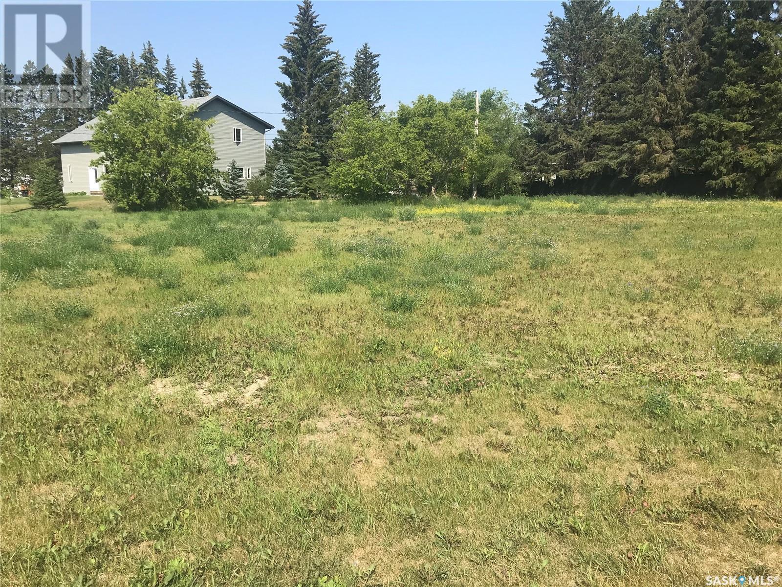 214 Gordon Avenue, Orkney Rm No. 244, SK