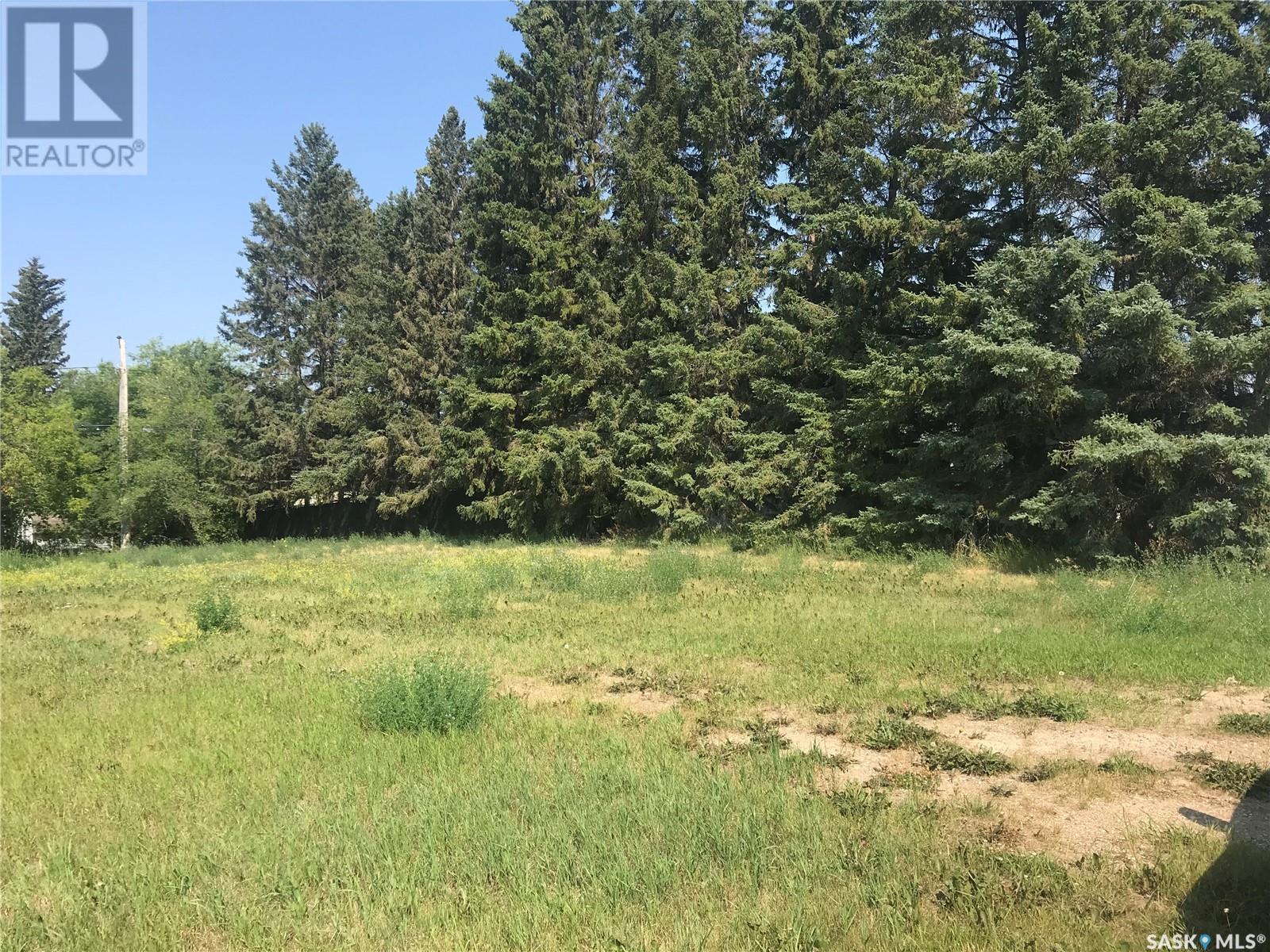 214 Gordon Avenue, Orkney Rm No. 244, SK