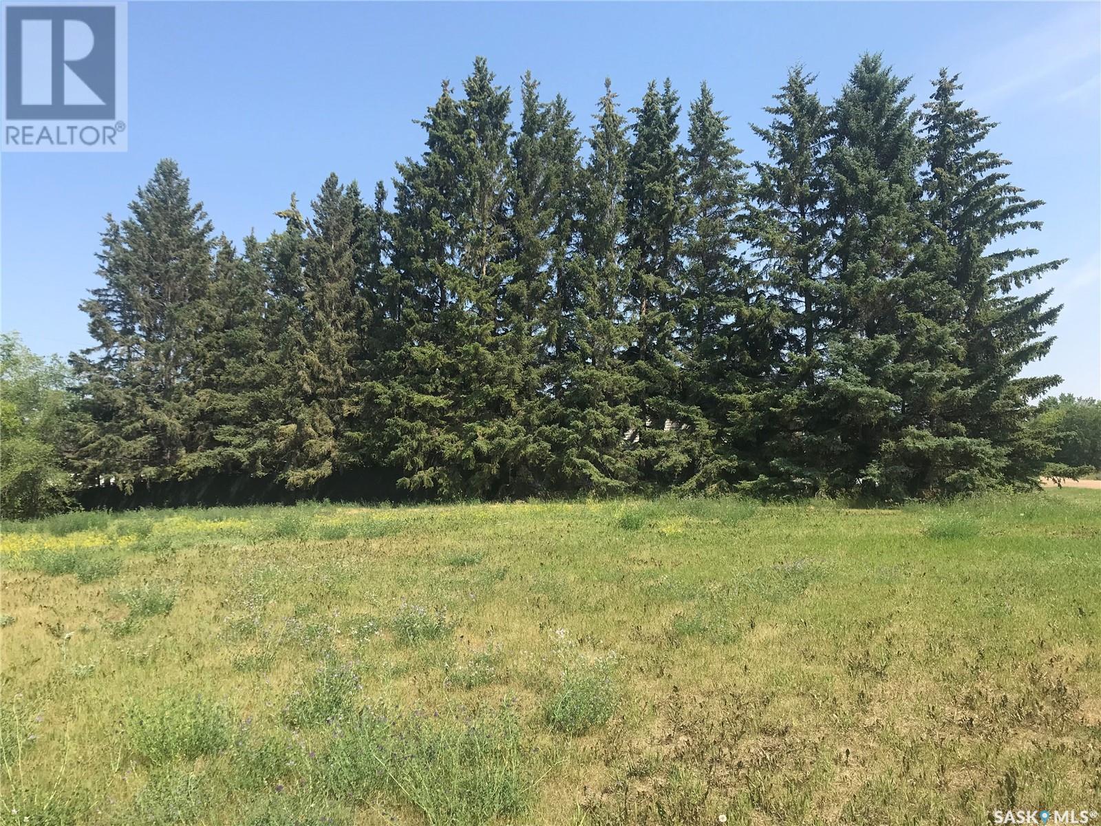 214 Gordon Avenue, Orkney Rm No. 244, SK