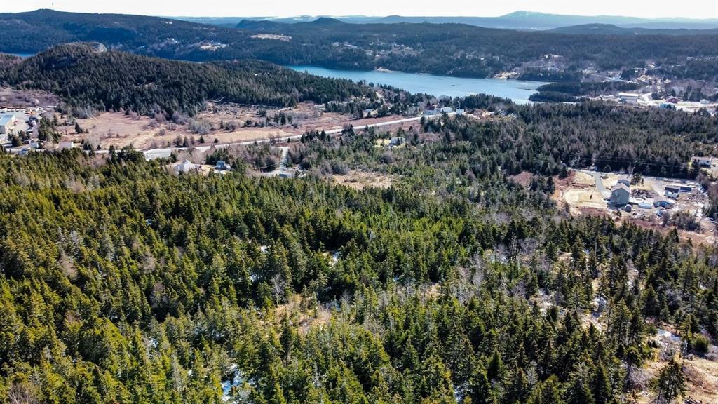 8 Barrys Island Road North, Avondale, NL