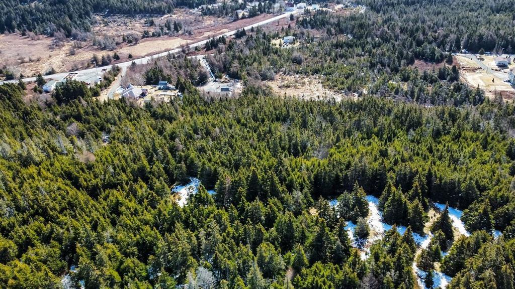 8 Barrys Island Road North, Avondale, NL