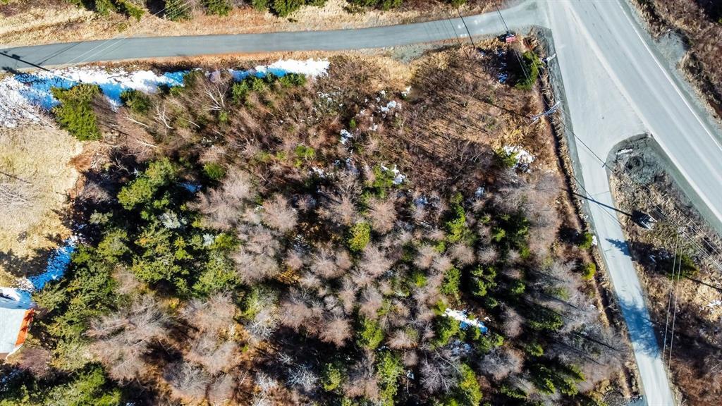 8 Barrys Island Road North, Avondale, NL