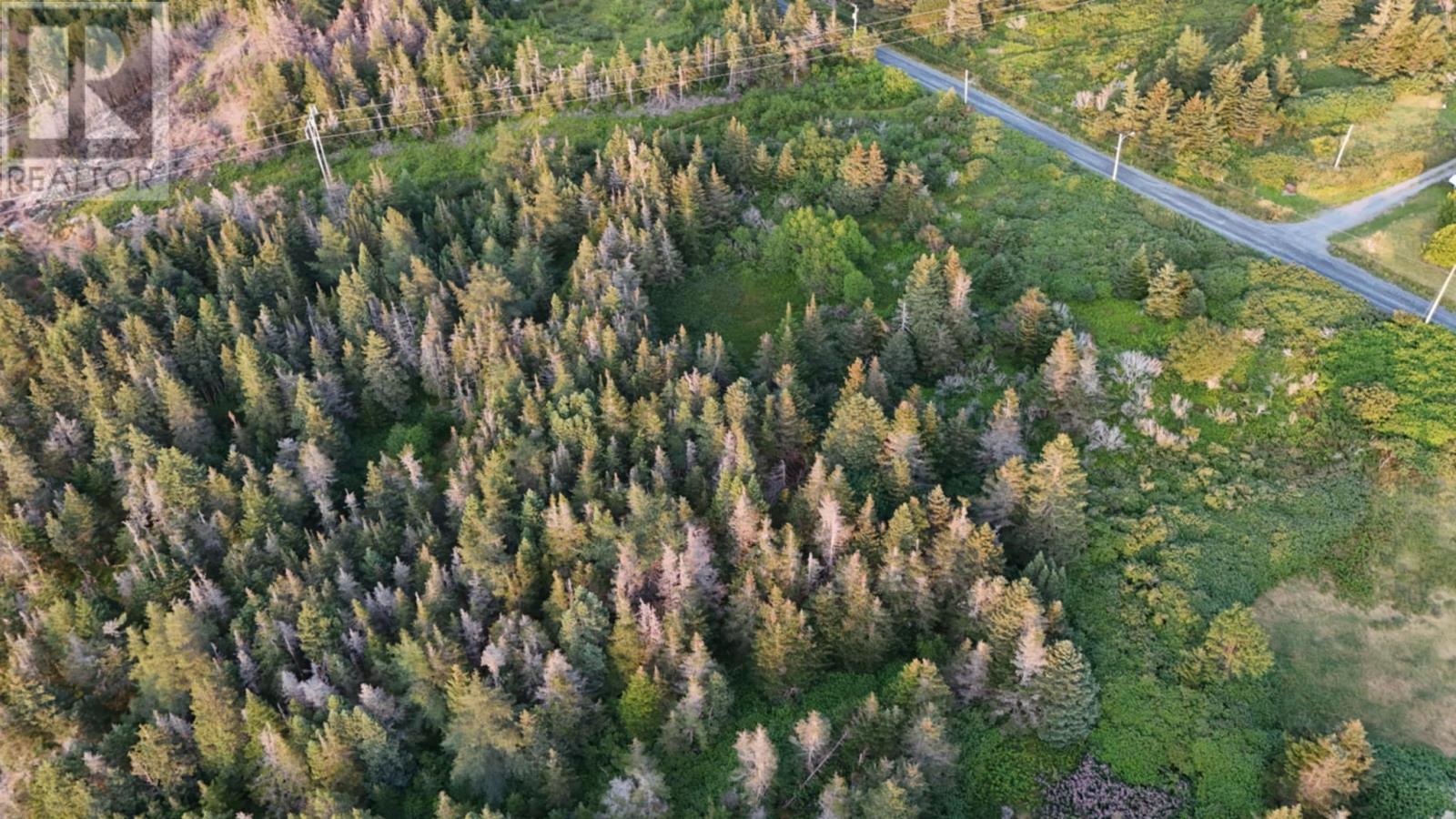 0 Clarkes Road, Carbonear, NL