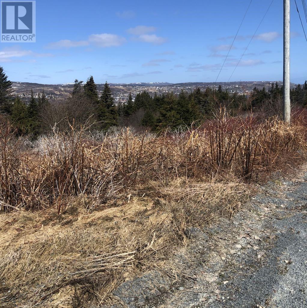 0 Clarkes Road, Carbonear, NL