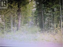 LOT 24 KOKANEE ROAD Canim Lake, BC V0K 1J0