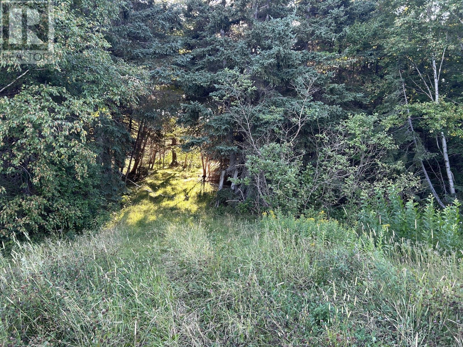 Parcels A & B Main Road, Victoria Cove, NL